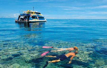 Opal Reef Image