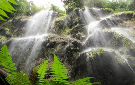 Tumalog Falls Image