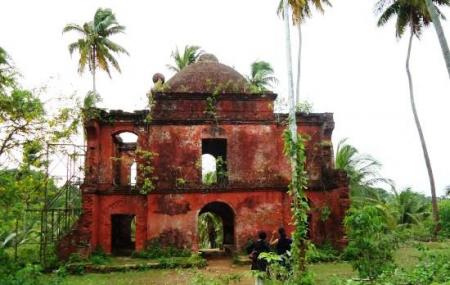 Viper Island Image
