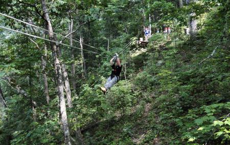Gatlinburg Ziplines Image
