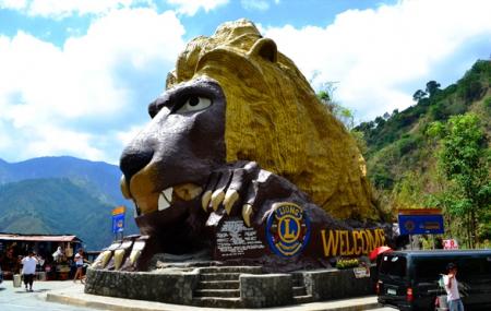 Lion's Head Image