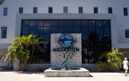 Mote Marine Laboratory And Aquarium Image