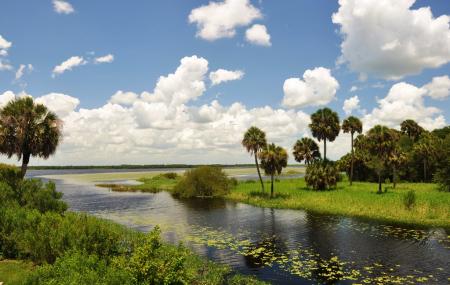 Myakka River State Park Image