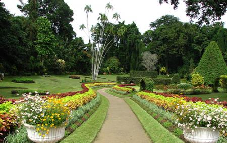 Royal botanical gardens address