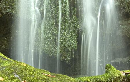 Baskins Creek Falls Gatlinburg Ticket Price Timings Address