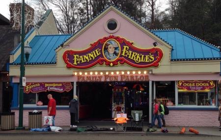 Fannie Farkle's Family Fun Parlor Image