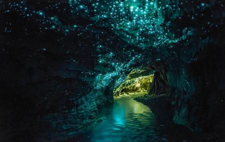 Te Anau Glow Worm Caves, Queenstown | Ticket Price | Timings | Address ...