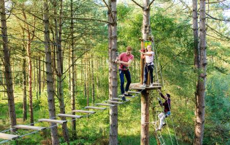 Go Ape Treetop Adventure Course Saint Louis Ticket Price Timings Address Triphobo