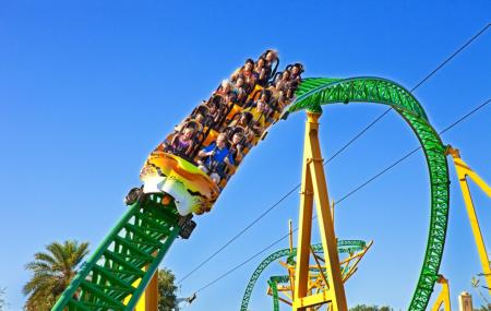 Busch Gardens Tampa Ticket Price Timings Address Triphobo