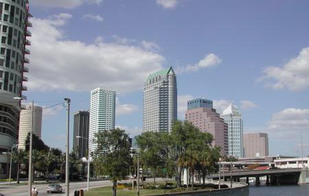 Bayshore Boulevard Image