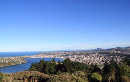 Signal Hill Image