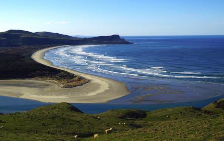 Otago Peninsula Image