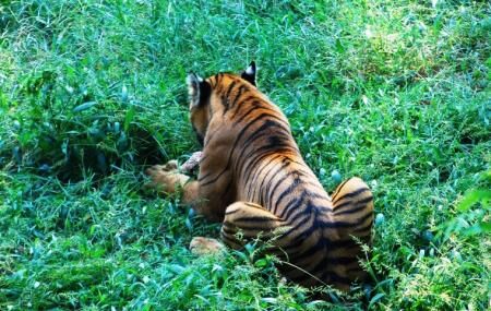 Assam State Zoo Cum Botanical Garden Image