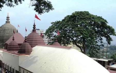 Kamakhya Temple Image