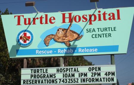 turtle hospital marathon fl price