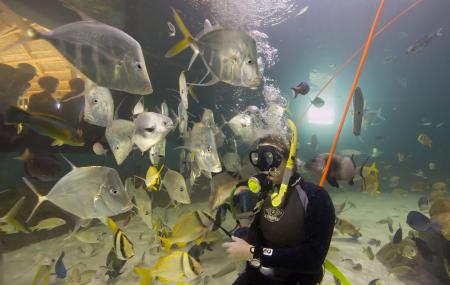 Florida Keys Aquarium Encounters Image