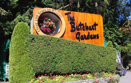 Butchart Gardens Image
