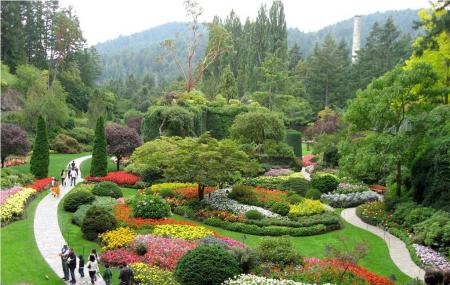 Butchart Gardens, Victoria | Ticket Price | Timings | Address: TripHobo