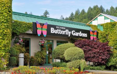 The Gardens – Victoria Butterfly Gardens