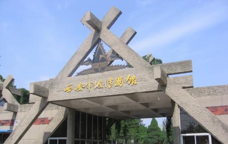 Sanxingdui Museum Image