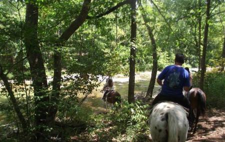 Bear Creek Trail Rides And Stable Image