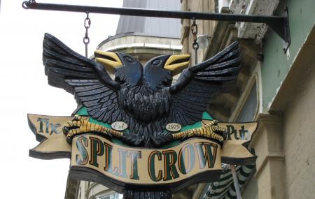 The Split Crow Image