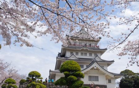Chiba Castle Ruins Image