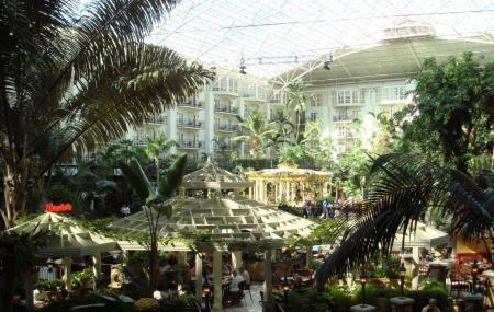 Opryland Hotel Gardens Image
