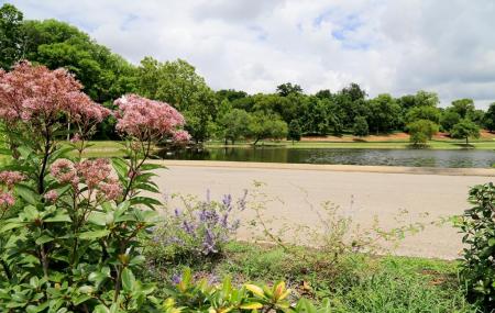 Shelby Park Image