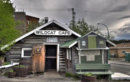 The Wildcat Cafe Image
