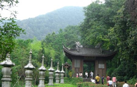 Fei Lai Feng Image