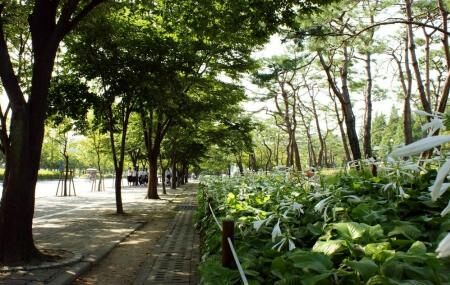 Incheon Grand Park Image