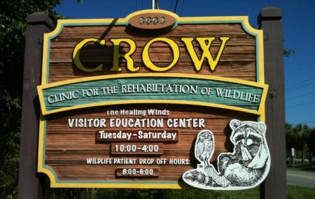 Clinic For The Rehabilitation Of Wildlife Crow Image