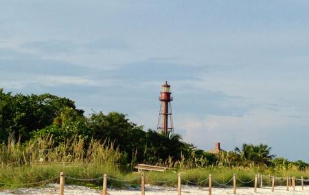 are dogs allowed on beach at sanibel island by lighthouse