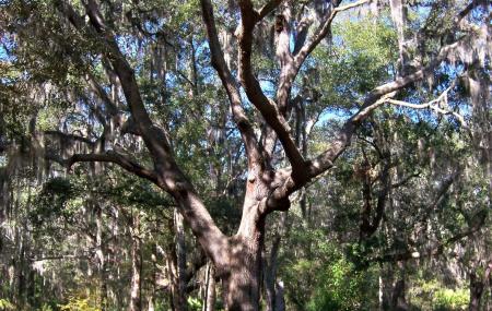 Jacksonville Arboretum And Gardens Image