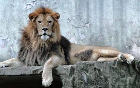 Hiroshima City Asa Zoological Park Image