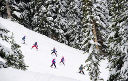 Whistler Kids Image