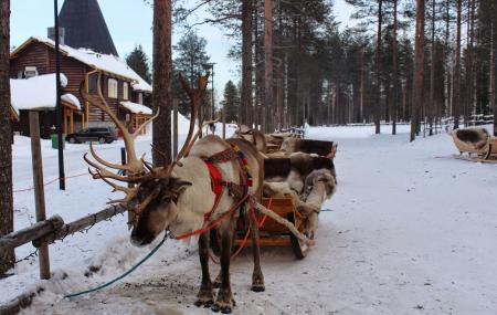 Reindeer Sleigh Rides And Farm Tours Image