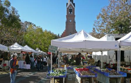 Charleston Farmers Market Image