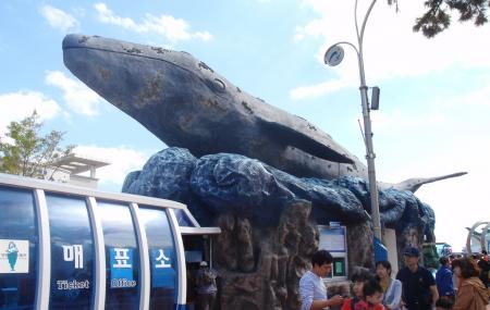 Jangsaengpo Whale Museum Image