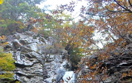 Paraeso Falls Image