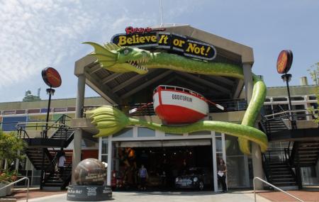 Ripleys Believe It Or Not! Baltimore Image