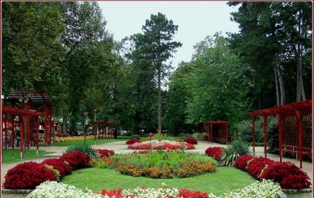 Jokai Park Image