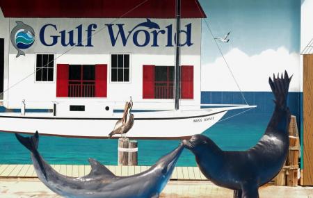 Gulf World Marine Park Image