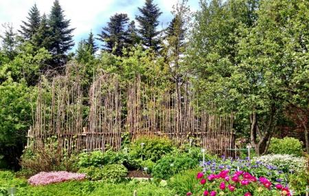 Memorial University Of Newfoundland Botanical Garden Image