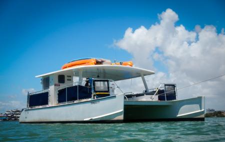Splash Sports Catamaran Cruises Image