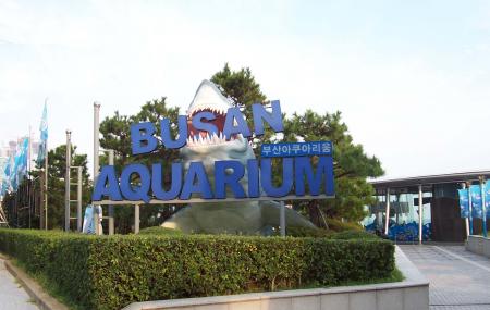 Sea Life Busan Aquarium Image