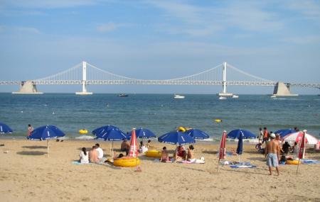 Gwangalli Beach Busan Ticket Price Timings Address Triphobo