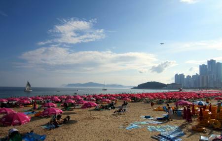 Haeundae Beach Busan Ticket Price Timings Address