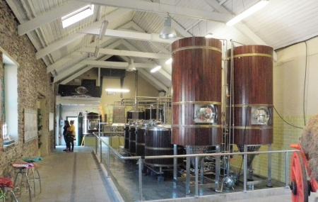 Dingle Brewery Company Image
